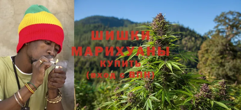 купить   Курильск  Канабис White Widow 